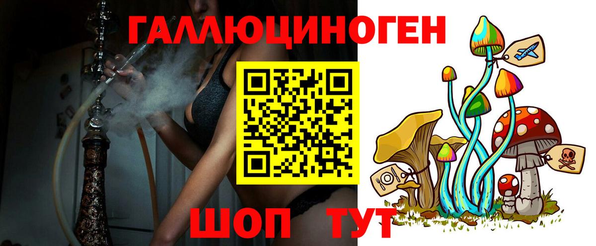 Богданович  Псилоцибиновые грибы Psilocybine cubensis  Вход с VPN 